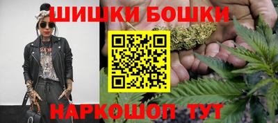 прущие грибы Лесосибирск
