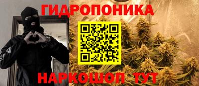 прущие грибы Лесосибирск