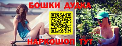 прущие грибы Лесосибирск